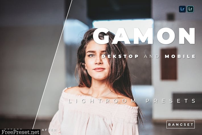 Gamon Desktop and Mobile Lightroom Preset
