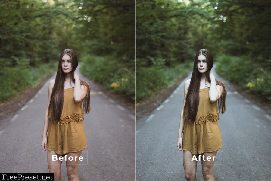 Garwyn Desktop and Mobile Lightroom Preset