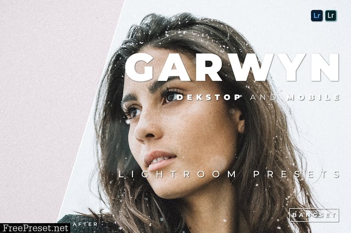 Garwyn Desktop and Mobile Lightroom Preset