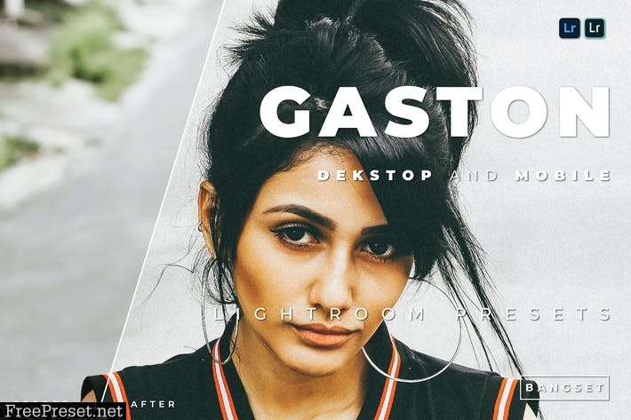 Gaston Desktop and Mobile Lightroom Preset