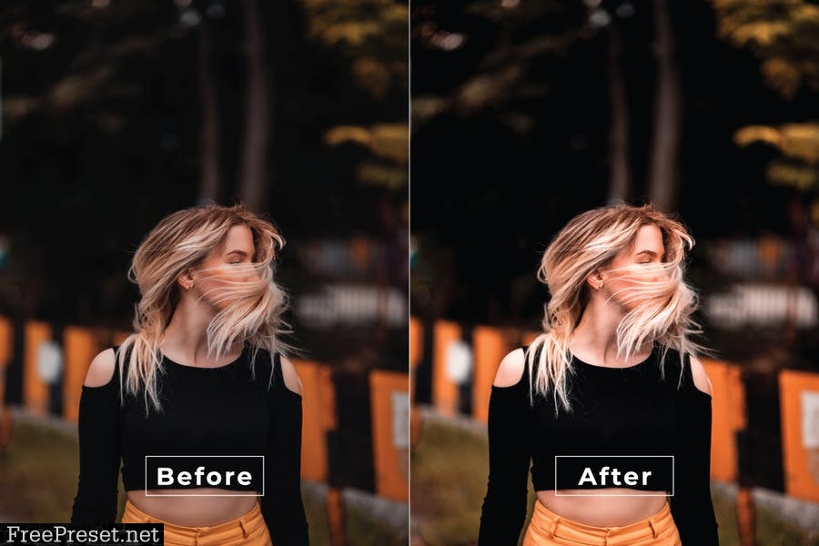 Gavriil Desktop and Mobile Lightroom Preset