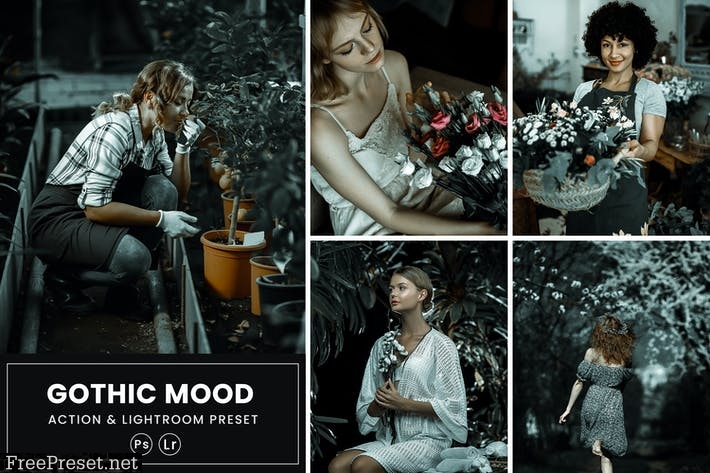 Gothic Mood Photoshop Action & Lightrom Presets