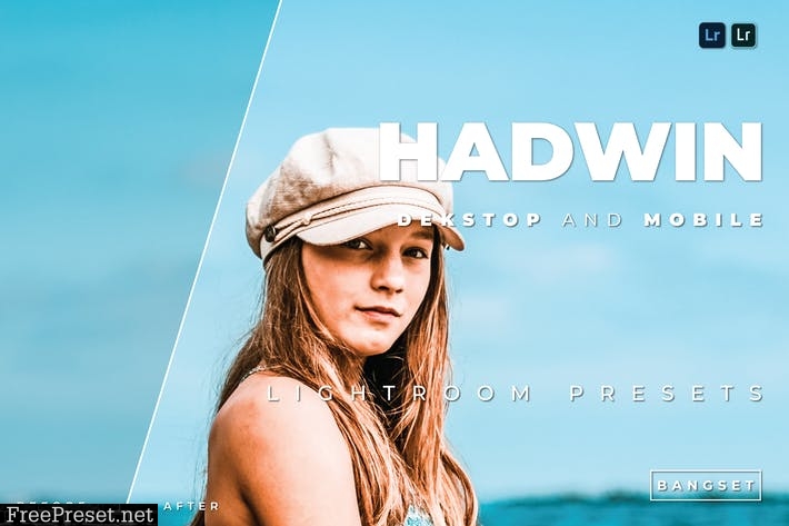 Hadwin Desktop and Mobile Lightroom Preset