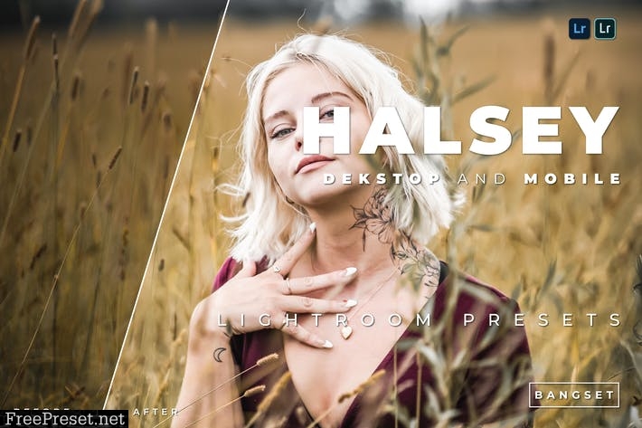 Halsey Desktop and Mobile Lightroom Preset