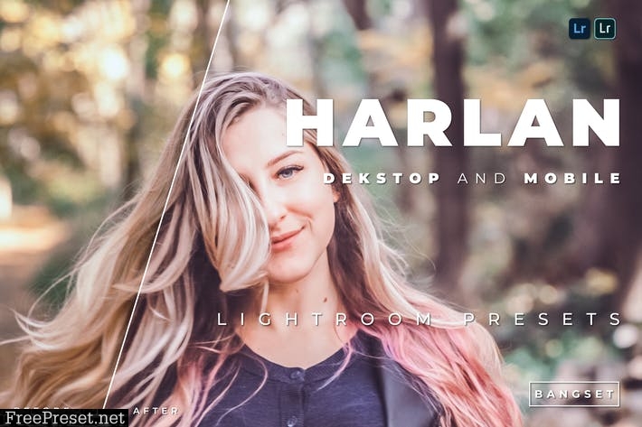 Harlan Desktop and Mobile Lightroom Preset