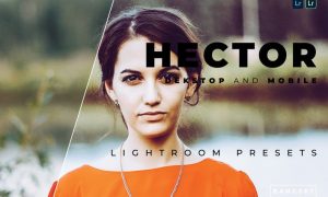 Hector Desktop and Mobile Lightroom Preset