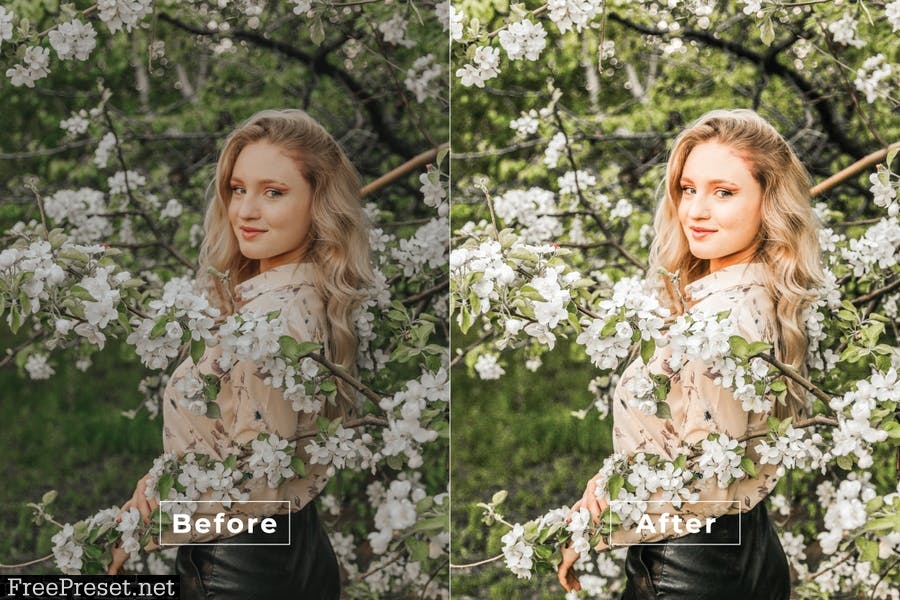 Idalina Desktop and Mobile Lightroom Preset