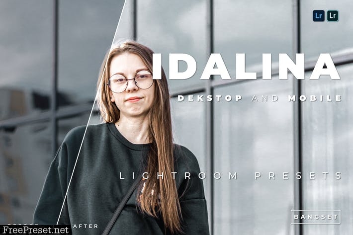 Idalina Desktop and Mobile Lightroom Preset