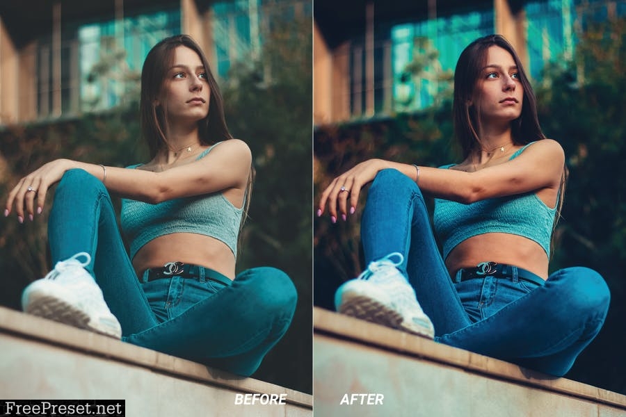 Insta Style Mobile and Desktop Lightroom Presets