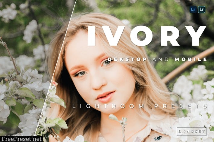 Ivory Desktop and Mobile Lightroom Preset