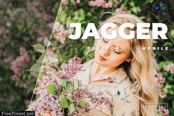 Jagger Desktop and Mobile Lightroom Preset