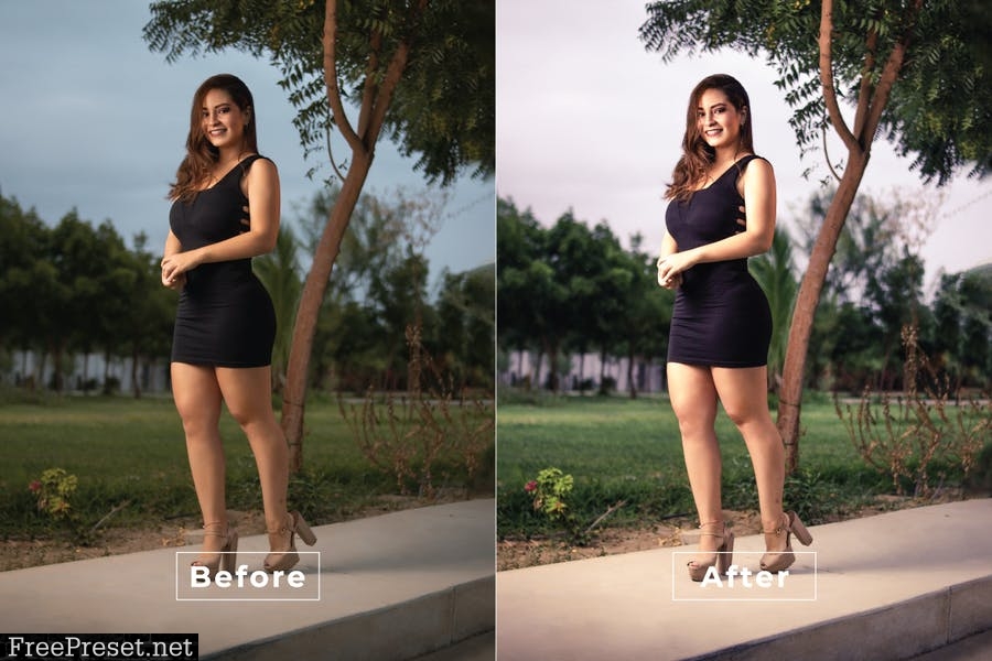 Jenner Desktop and Mobile Lightroom Preset