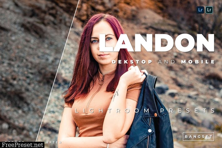 Landon Desktop and Mobile Lightroom Preset