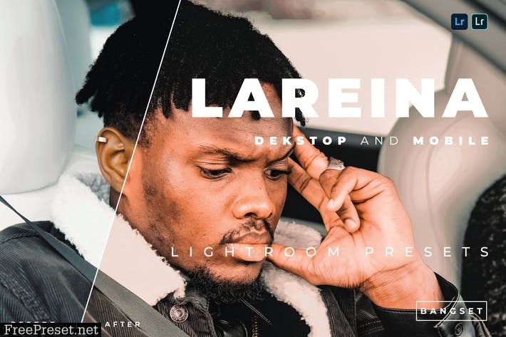 Lareina Desktop and Mobile Lightroom Preset