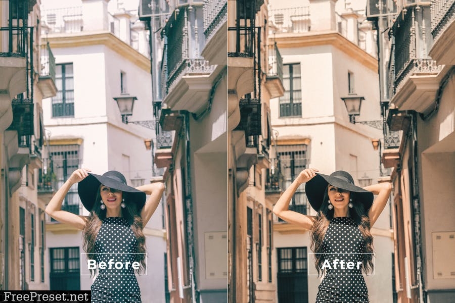 Larena Desktop and Mobile Lightroom Preset