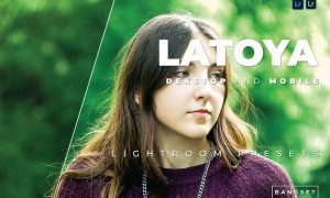 Latoya Desktop and Mobile Lightroom Preset
