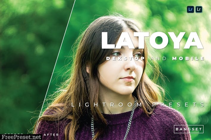 Latoya Desktop and Mobile Lightroom Preset