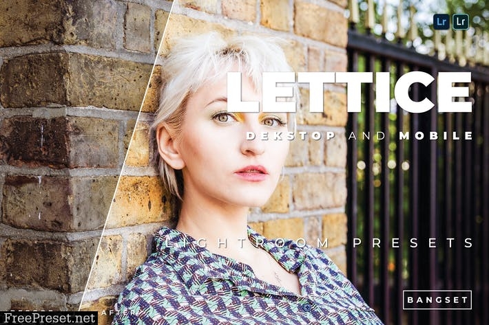 Lettice Desktop and Mobile Lightroom Preset