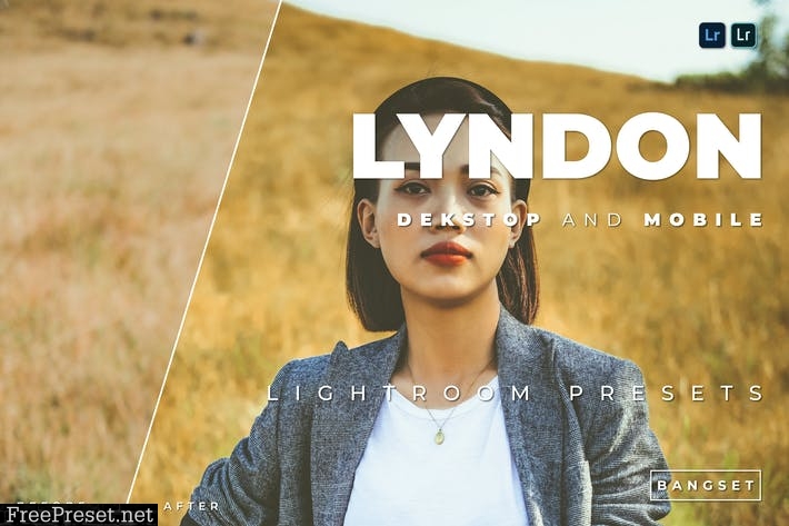 Lyndon Desktop and Mobile Lightroom Preset