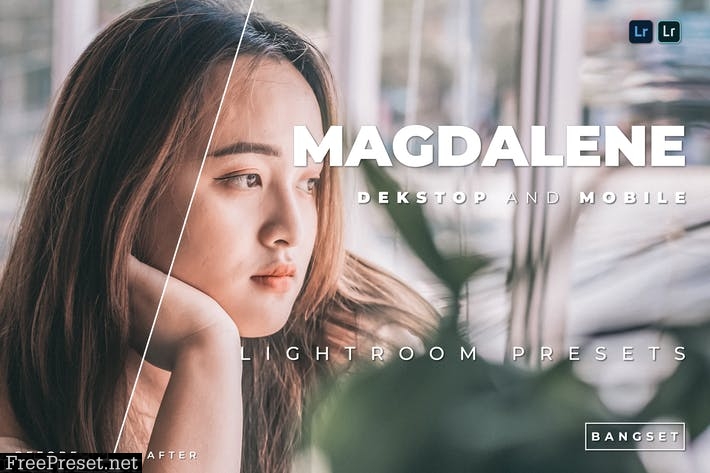 Magdalene Desktop and Mobile Lightroom Preset