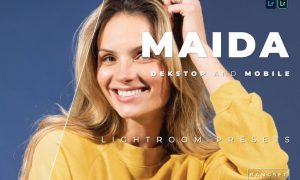 Maida Desktop and Mobile Lightroom Preset