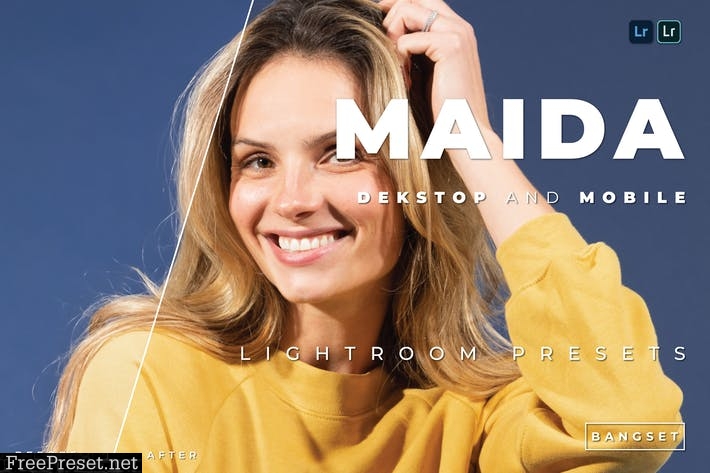 Maida Desktop and Mobile Lightroom Preset