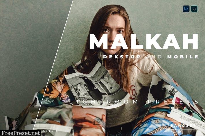 Malkah Desktop and Mobile Lightroom Preset