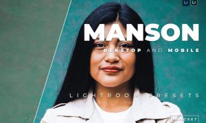 Manson Desktop and Mobile Lightroom Preset