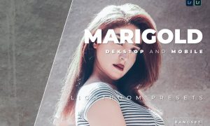Marigold Desktop and Mobile Lightroom Preset