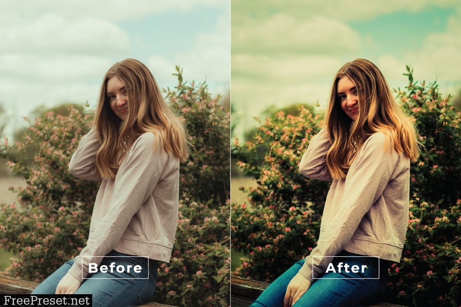 Osmond Desktop and Mobile Lightroom Preset