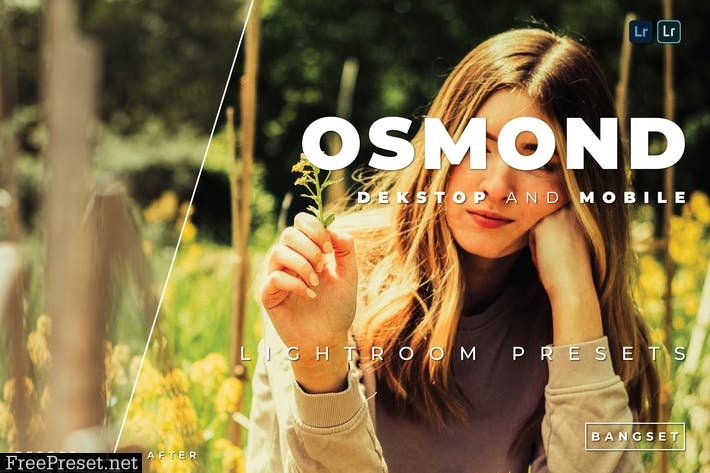 Osmond Desktop and Mobile Lightroom Preset