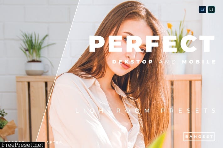 Perfect Desktop and Mobile Lightroom Preset