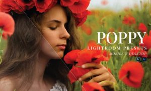 Poppy Mobile and Desktop Lightroom Presets