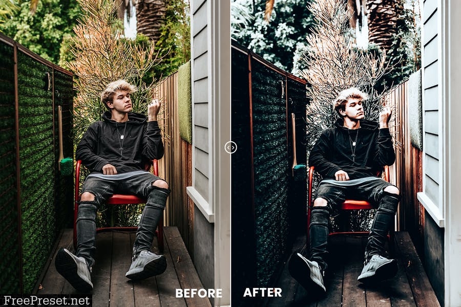 Premium Tones Action & Lightroom Preset