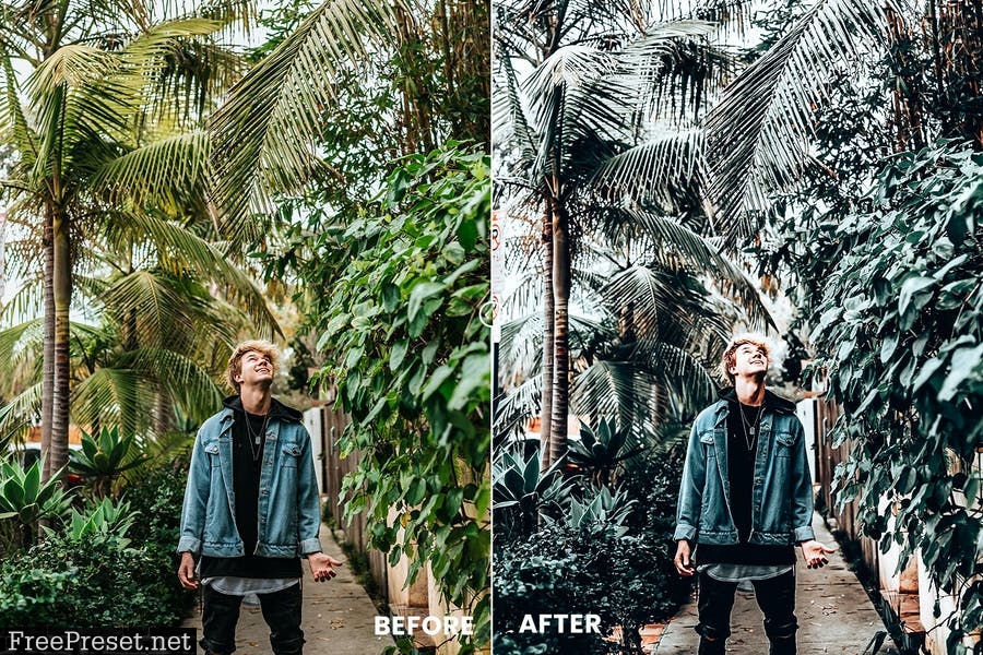 Premium Tones Action & Lightroom Preset