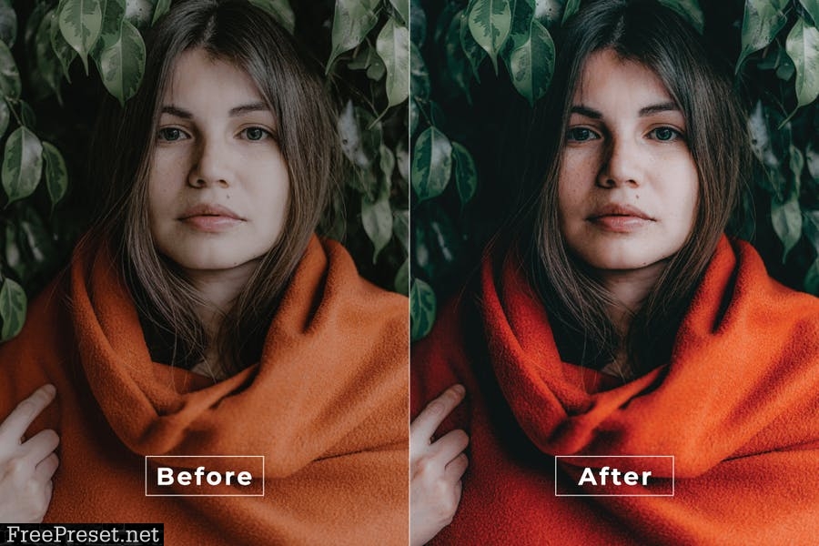 Pricilla Desktop and Mobile Lightroom Preset