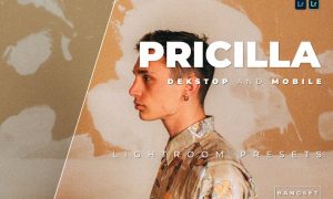 Pricilla Desktop and Mobile Lightroom Preset