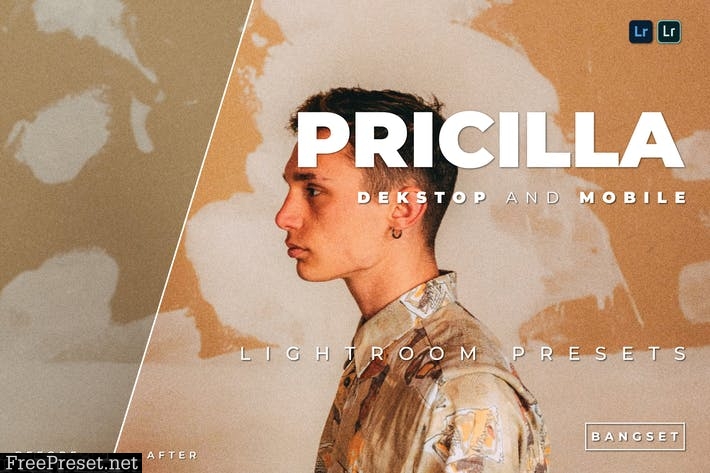 Pricilla Desktop and Mobile Lightroom Preset