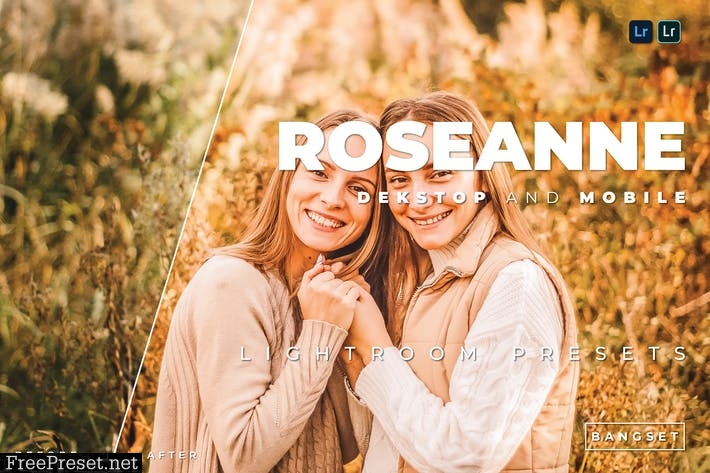 Roseanne Desktop and Mobile Lightroom Preset