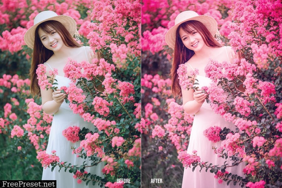 Sakura Mobile and Desktop Lightroom Presets