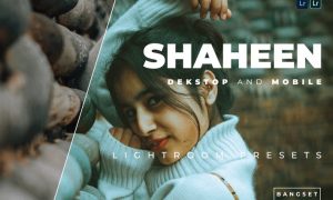 Shaheen Desktop and Mobile Lightroom Preset