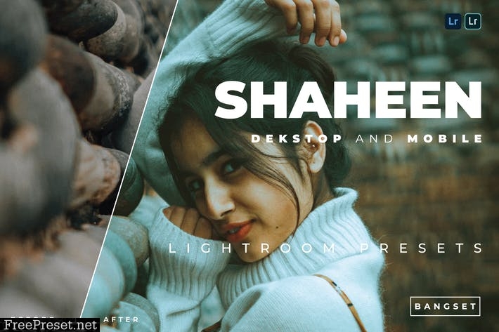 Shaheen Desktop and Mobile Lightroom Preset