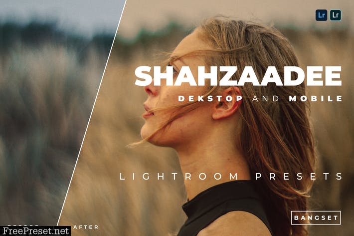 Shahzaadee Desktop and Mobile Lightroom Preset