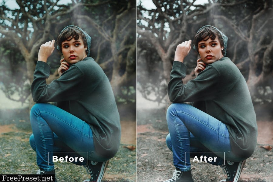 Stunning Desktop and Mobile Lightroom Preset