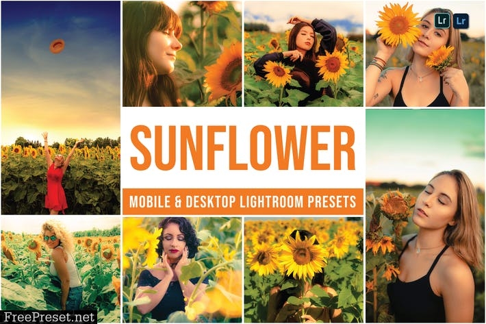 Sunflower Mobile and Desktop Lightroom Presets