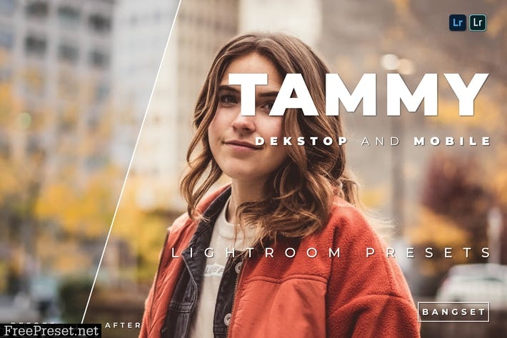 Tammy Desktop and Mobile Lightroom Preset