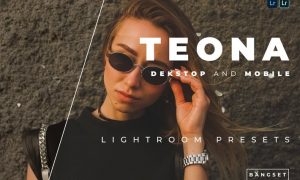 Teona Desktop and Mobile Lightroom Preset