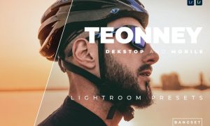 Teonney Desktop and Mobile Lightroom Preset