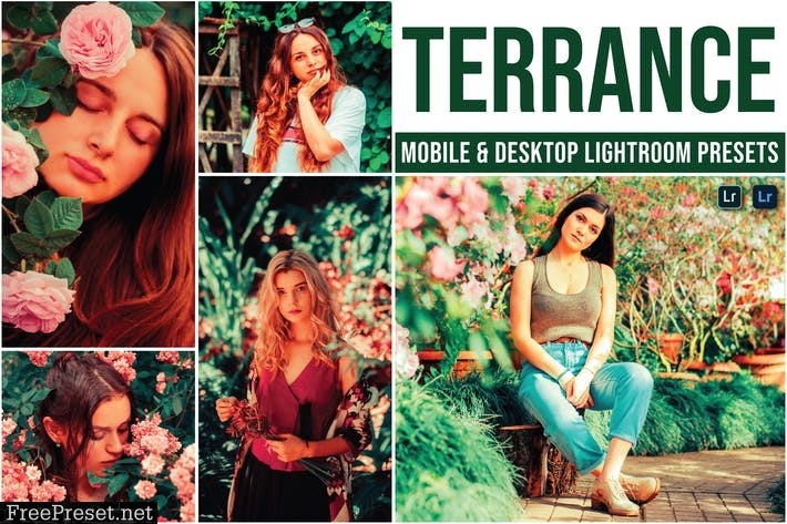 Terrance Mobile and Desktop Lightroom Presets