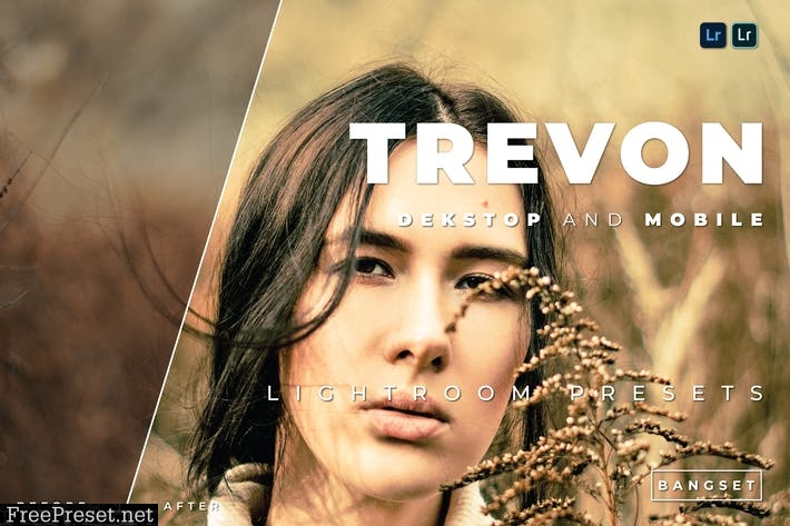 Trevon Desktop and Mobile Lightroom Preset